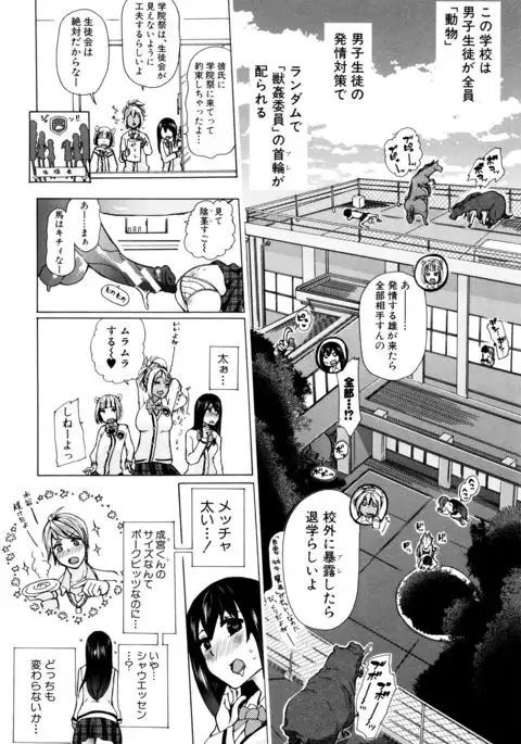 Kemono Kyoushitsu