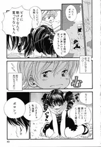 [Anthology] Pure Petit Vol.19
