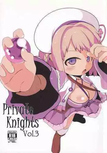 Shield Knight Elsain Vol. 13 "Succubus Flirtation"