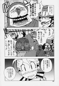 [Bureido] Shiruchichi