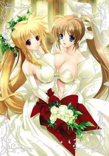 (C80) [N.S Craft (Simon)] SSG (Mahou Shoujo Lyrical Nanoha)