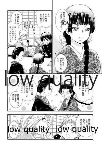 蔭に棲む猫