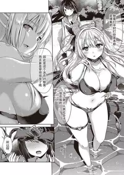 Succubus Company