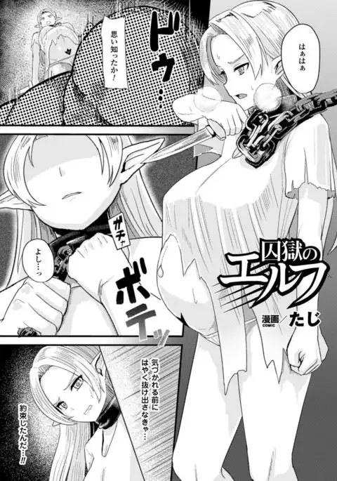 Nijigen komikku magajin botehara sekkusu de niku benki ochi! Vol. 1