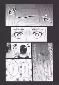 (FALL OF WALL2) [Armeria (Umichika)] Utsukushii Sekai (Shingeki no Kyojin)