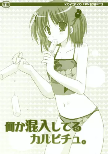 (C79) [KOKIKKO (Sesena Yau)] Yukiiro (Hayate no Gotoku!)