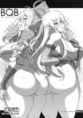 (C76) [Combat Mon-Mon (Hiratsura Masaru)] ANA TO YOME (Queen's Blade)