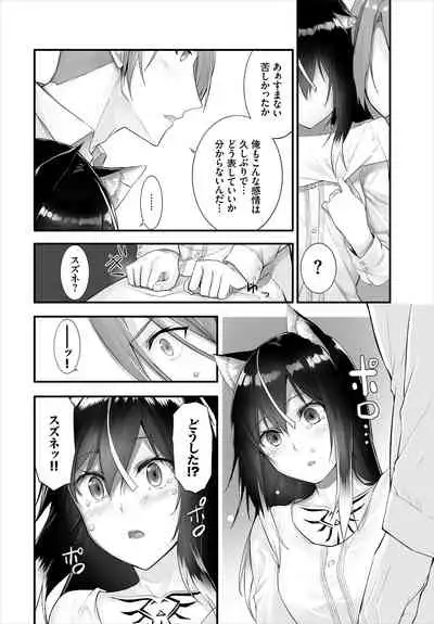 Dascomi Vol.13