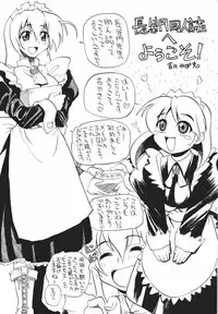(C61) [Tsurugashima Heights (Various)] MAID GP2001