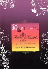 (C93) [Ameiro (Nanashiki)] Junketsu Dressage (Mahou Shoujo Lyrical Nanoha) [Chinese] [大友同好会]