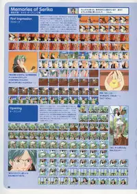 Super Real Mahjong Visual Fan Book Perfect Collection