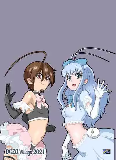 Seigi no Mikata