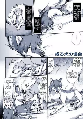 (C81) [Neuromancer. (Kannon Ouji)] sound like pig