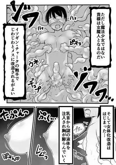 Mahou Shoujo Estrogia & Mahou Shoujo Gestagenia
