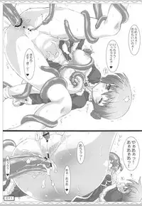 (SC46) [Testa Kitchen (Testa)] Shokushu COMPLEX (Ragnarok Online)
