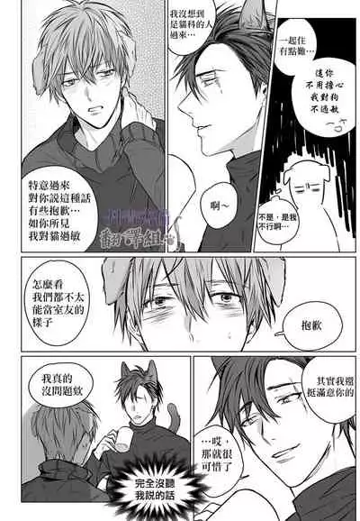 巴夫洛夫的大貓貓 01-14