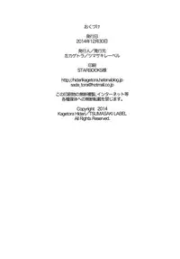 (C87) [Tsumasaki Label (Hidari Kagetora)] Les Chuu Life Soushuuhen 456+