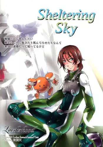 (HaruCC14) [Luciferhood (Toudou Fumika, Horo Makoto)] amor platonicus (Gundam 00)
