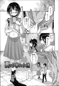 [Narusawa Kei] Natsu no Yuugure Komichi