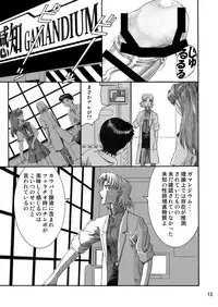 [TENGU NO TSUZURA (Kuro Tengu)] INTERVIEW (Neon Genesis Evangelion) [Digital]