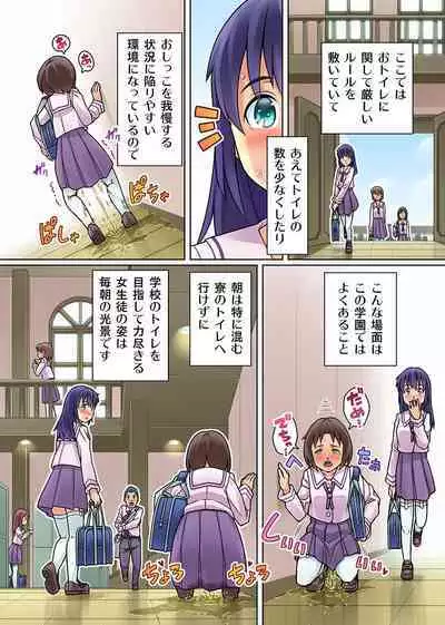 Gomen Nasai. Mata Morashi Chaimashita...