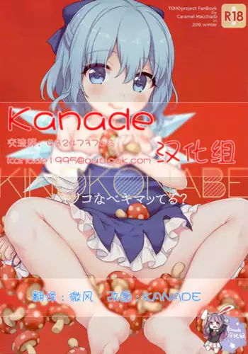 (C87) [Caramel Macchiato (Maki)] Doasa wa Okoshite kudasai (Touhou Project) [Chinese] [oo君の個人漢化]