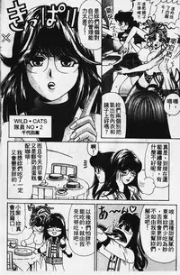 [Kobayashi Takumi] Wild Cats | 性感小野貓 [Chinese] [Incomplete]