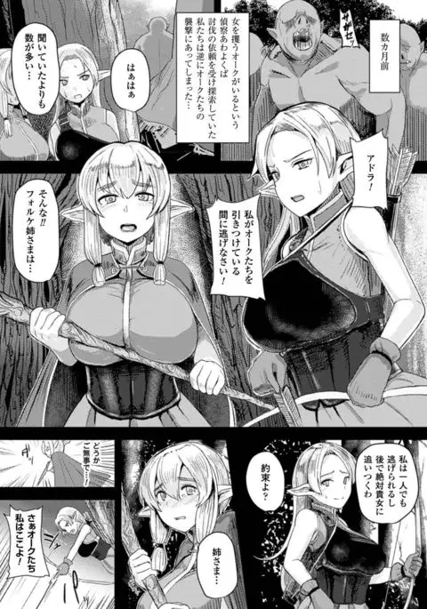 Nijigen komikku magajin botehara sekkusu de niku benki ochi! Vol. 1