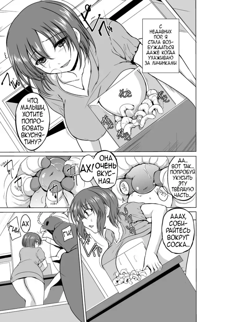 Mushi Asobi
