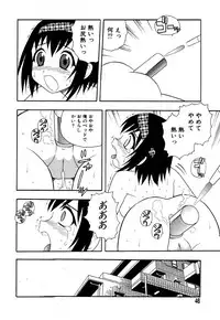 Flamingo R Vol.05