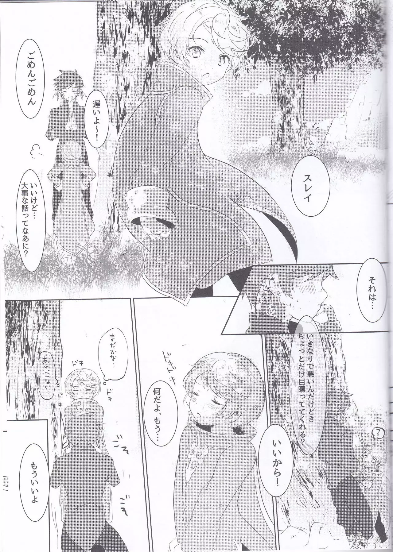 Hayazaki no Bougainvillea