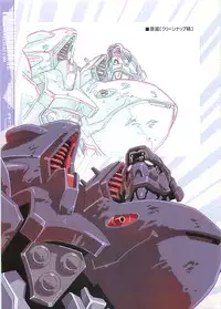 (C70)[Henrei-kai (Kawarajima Koh)] G-heroines (Kidou Senshi Gundam SEED DESTINY)