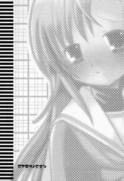 Hinagiku no Himitsu