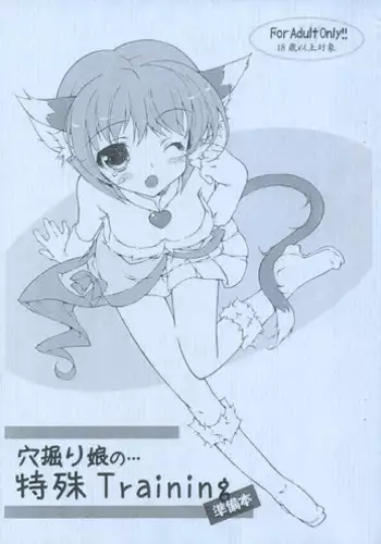 Idol no Tokushu Event | 偶像特別活動