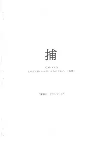 (C47) [Saku Saku Circle (Akiha Chiaki)] SUMPOSION Kyouen (Various)