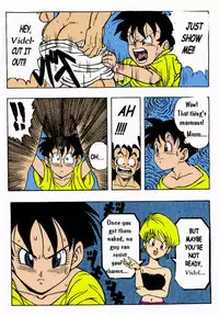 Dragon Ball H [Gohan X Videl (Colored)]