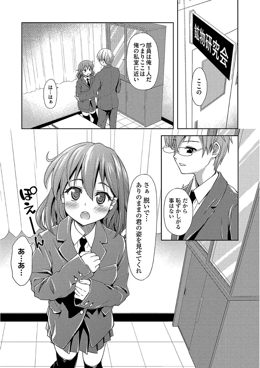 パコほーだい