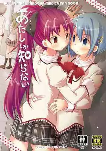 (C87) [Energia (Pikachi)] Atashi wa Tomodachi. (Puella Magi Madoka Magica) [Chinese] [无毒汉化组]