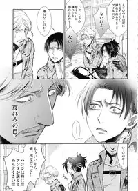 (C91) [RIX (Mamiya)] Haechatta!! (Shingeki no Kyojin)