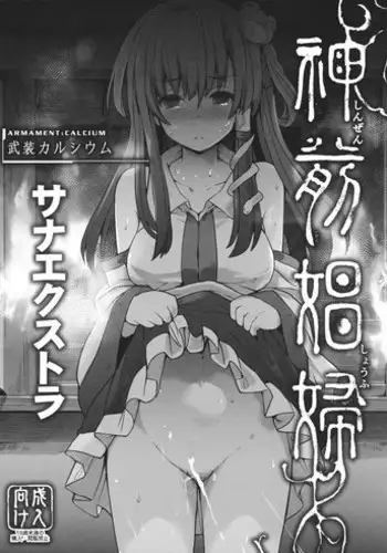 (C91) [Armament Calcium (Take Calcium)] Shinzen Shoufu (Touhou Project) [Chinese] [朔夜汉化]