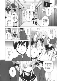 [Sumiya] Lycoris
