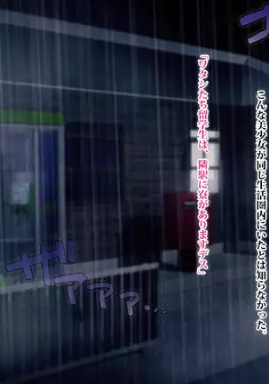 Hi, Hajimete no Kimi Ni.