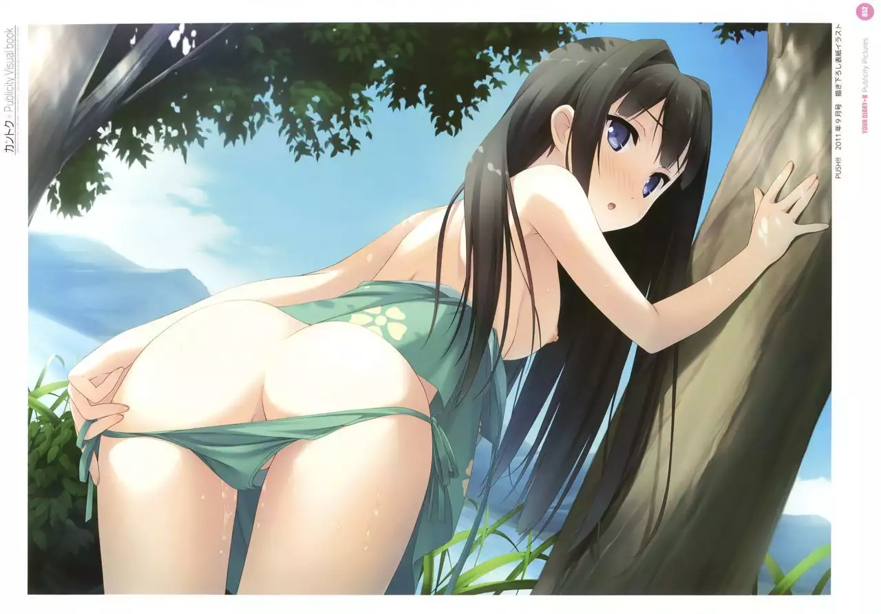 Kantoku Publicity Visual book
