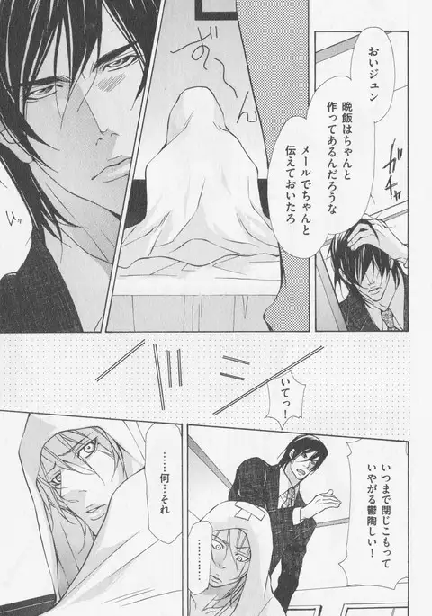 Aikata no Aishikata