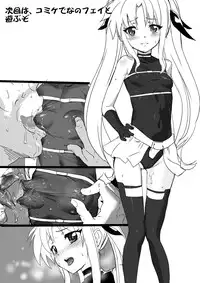 [Missing Paradise] Nanofelife (Mahou Shoujo Lyrical Nanoha)