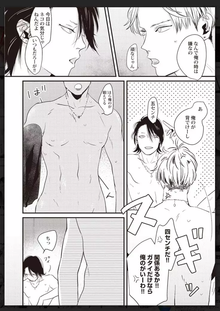 _タチネコ争奪BL