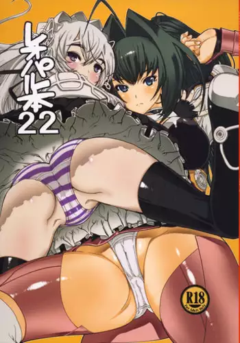 (C86) [Fujiya (Nectar)] Usui hon no Chaika (Hitsugi no Chaika) [Chinese] [塔布里斯個人漢化]