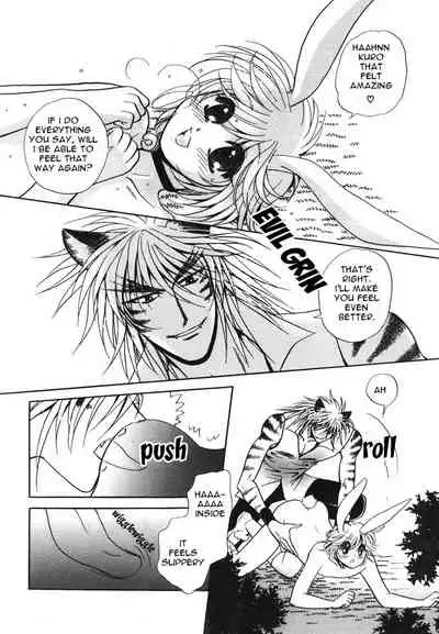 [Anthology] Puchi D VOL. 4 Kemonomimi [English] [DokiDoki]