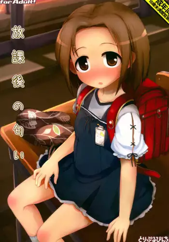 (C84) [Triple Pinch! (Hikami Izuto)] Houkago Osasoi-kei