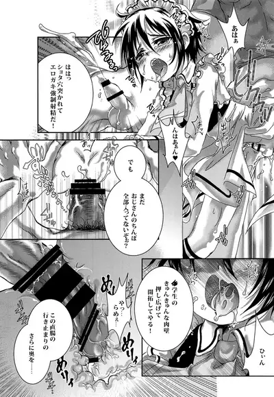 Houkei Maid